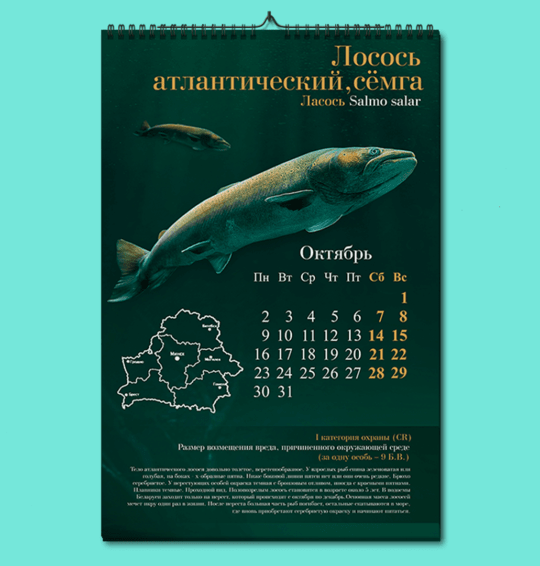 Дизайн календаря-плаката